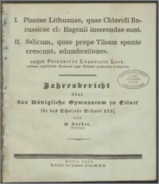 Jahresbericht über das Königliche Gymnasium zu Tilsit für das Schuljahr Michaeli 1835/6