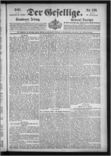 Der Gesellige : Graudenzer Zeitung 1895.10.19, Jg. 70, No. 246