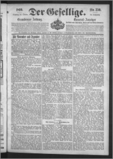 Der Gesellige : Graudenzer Zeitung 1899.10.24, Jg. 74, No. 250