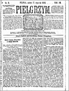 Pielgrzym, pismo religijne dla ludu 1880 nr 8