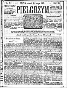 Pielgrzym, pismo religijne dla ludu 1880 nr 17