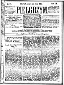 Pielgrzym, pismo religijne dla ludu 1880 nr 58