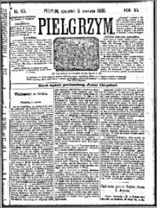 Pielgrzym, pismo religijne dla ludu 1880 nr 63