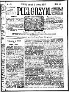 Pielgrzym, pismo religijne dla ludu 1880 nr 65