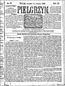 Pielgrzym, pismo religijne dla ludu 1880 nr 69