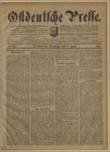 Ostdeutsche Presse. J. 25, № 133 (9 czerwca 1901)