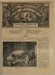 Illustrirtes Unterhaltungs Blatt : Sonntags-Beilage zur Ostdeutschen Presse und deren Sonder-Ausgaben. Nr. 21 [(maj 1902)] / redaktor odpowiedzialny Aug. Krebs