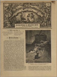 Illustrirtes Unterhaltungs Blatt : Sonntags-Beilage zur Ostdeutschen Presse und deren Sonder-Ausgaben. Nr. 1 [(styczeń 1903)] / redaktor odpowiedzialny Aug. Krebs