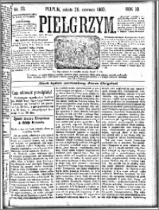 Pielgrzym, pismo religijne dla ludu 1880 nr 73