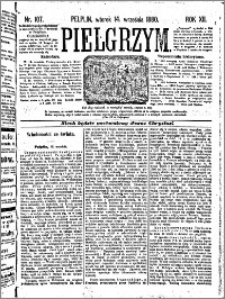 Pielgrzym, pismo religijne dla ludu 1880 nr 107