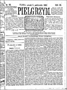 Pielgrzym, pismo religijne dla ludu 1880 nr 116