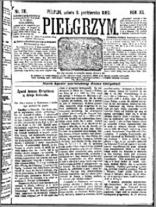 Pielgrzym, pismo religijne dla ludu 1880 nr 118