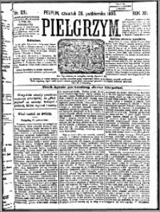 Pielgrzym, pismo religijne dla ludu 1880 nr 126