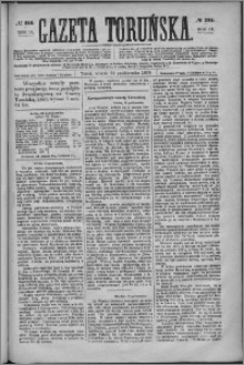 Gazeta Toruńska 1876, R. 10 nr 246