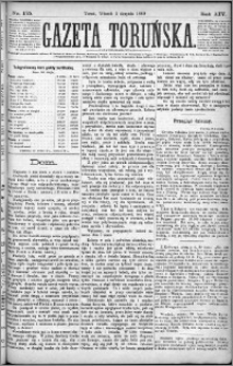 Gazeta Toruńska 1880, R. 14 nr 175