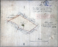 Plan von dem Stadt Vorwerk Alt Trziniec oder Alt Rohrbruch genannt vermessen im Jahr 1825
