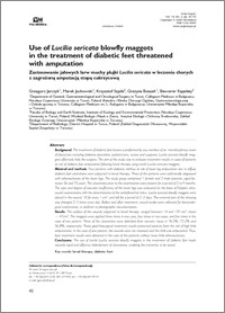 Use of Lucilia sericata blowfly maggots in the treatment of diabetic feet threatened