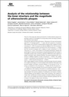 Analysis of the relationship between the inner structure and the magnitude of atherosclerotic plaques