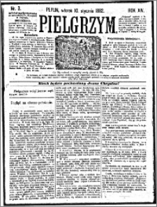 Pielgrzym, pismo religijne dla ludu 1882 nr 3