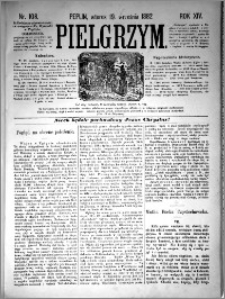 Pielgrzym, pismo religijne dla ludu 1882 nr 108