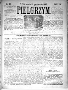 Pielgrzym, pismo religijne dla ludu 1882 nr 119