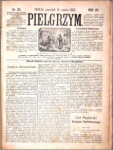 Pielgrzym, pismo religijne dla ludu 1883 nr 30