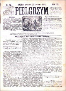 Pielgrzym, pismo religijne dla ludu 1883 nr 46