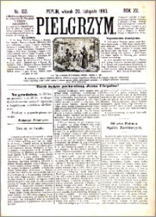 Pielgrzym, pismo religijne dla ludu 1883 nr 133