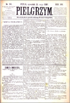 Pielgrzym, pismo religijne dla ludu 1884 nr 64