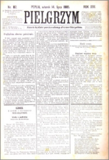 Pielgrzym, pismo religijne dla ludu 1885 nr 82