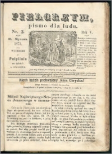 Pielgrzym, pismo religijne dla ludu 1873 nr 3 + dodatek