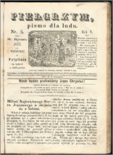 Pielgrzym, pismo religijne dla ludu 1873 nr 5