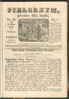 Pielgrzym, pismo religijne dla ludu 1873 nr 18