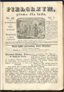 Pielgrzym, pismo religijne dla ludu 1873 nr 42