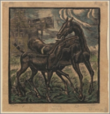 Matka i syn (konie)