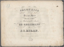 Polonaise pour le piano-forte : composée et dediée à Mademoiselle Amalie de Grossmann