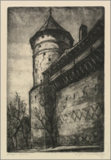 Olsztyn - zamek
