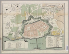Grund-Riss der Pohlnisch Preusischen Stadt Thorn : Anno MDCCLXIX [1769], den 16 Aug