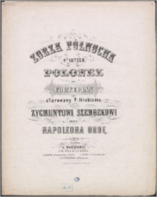 Zorza północna 4 go lutego : polonez na fortepian : ofiarowany P. Hrabiemu Zygmuntowi Szembekowi