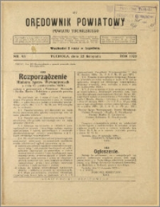 Orędownik Powiatowy Powiatu Tucholskiego 1928 Nr 93